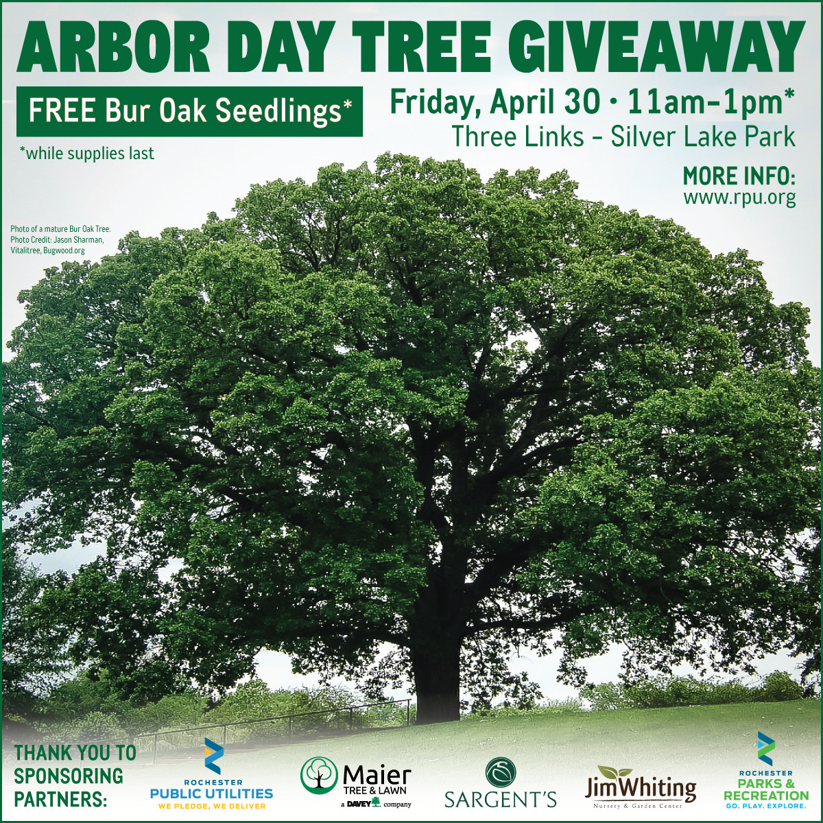 Arbor Day Tree Giveaway with RPU EarthFest